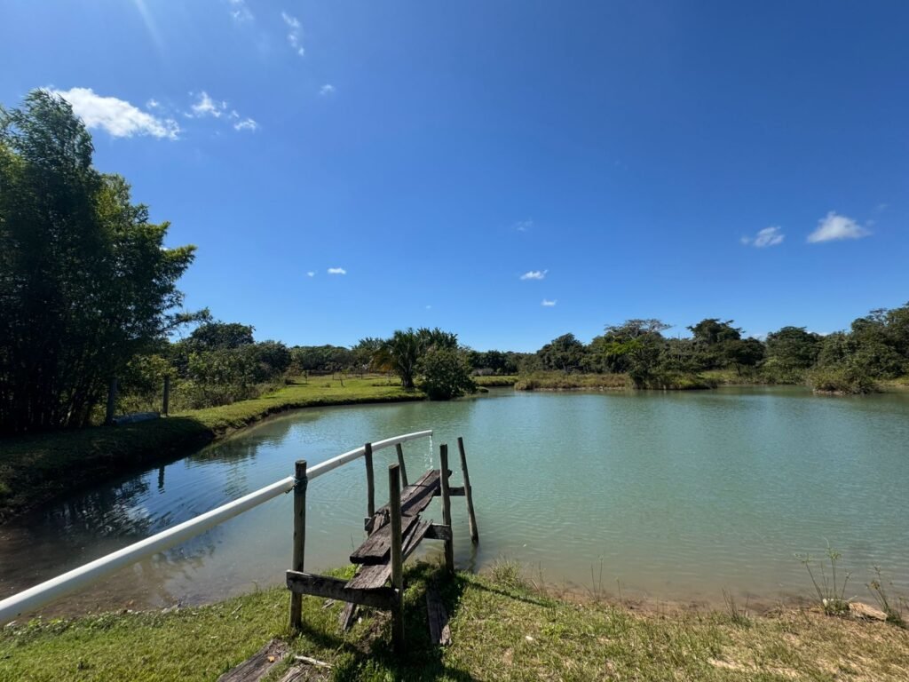 Sítio 15ha – Rio – Açude de Peixe – São João da Aliança – Chapada dos Veadeiros