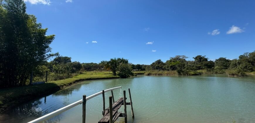Sítio 15ha – Rio – Açude de Peixe – São João da Aliança – Chapada dos Veadeiros