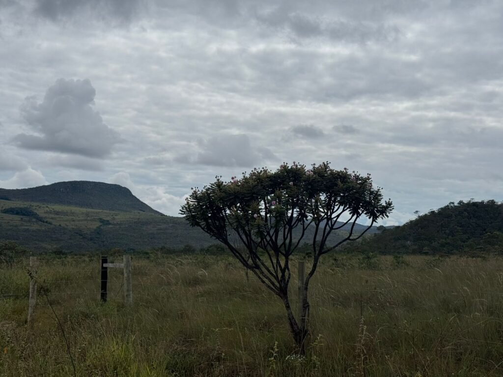 Chácara 40.000m – 5 km de Alto Paraíso – 100% regularizada