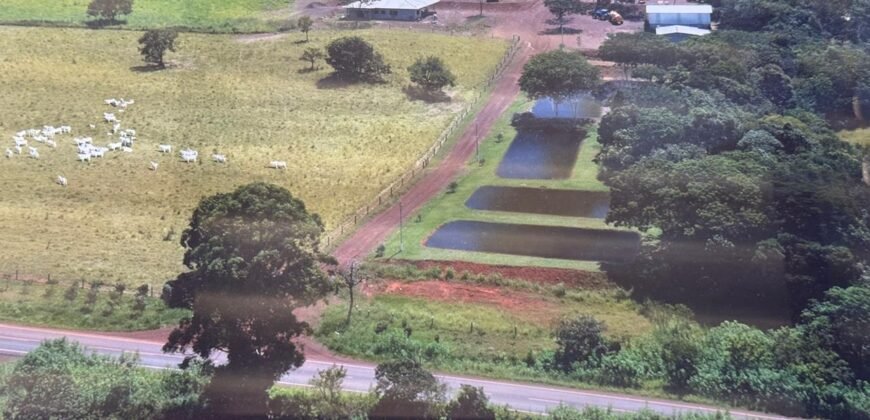 🚜🌳 Maravilhoso Sítio 20ha 🌳🚜 12 km de Alto Paraíso sentido São João da Aliança