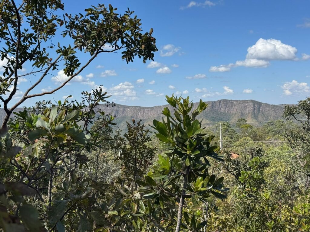 Vende-se Maravilhoso Lote 3.854m2 –  Exclusivo em São Jorge!