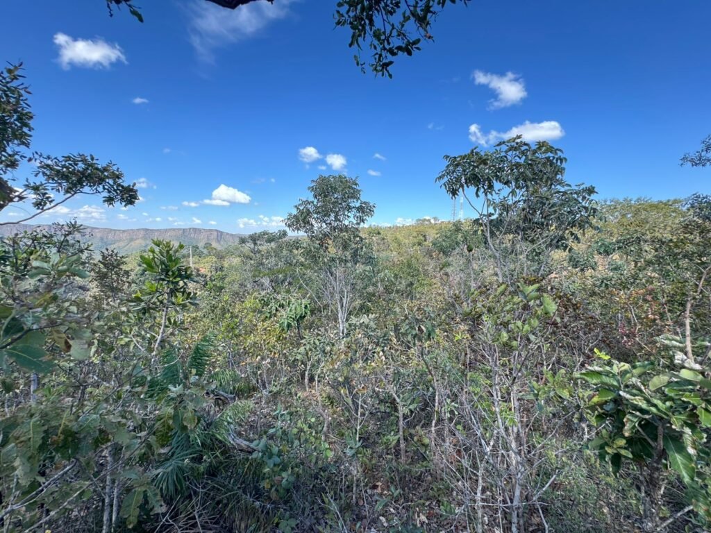Vende-se Maravilhoso Lote 3.854m2 –  Exclusivo em São Jorge!