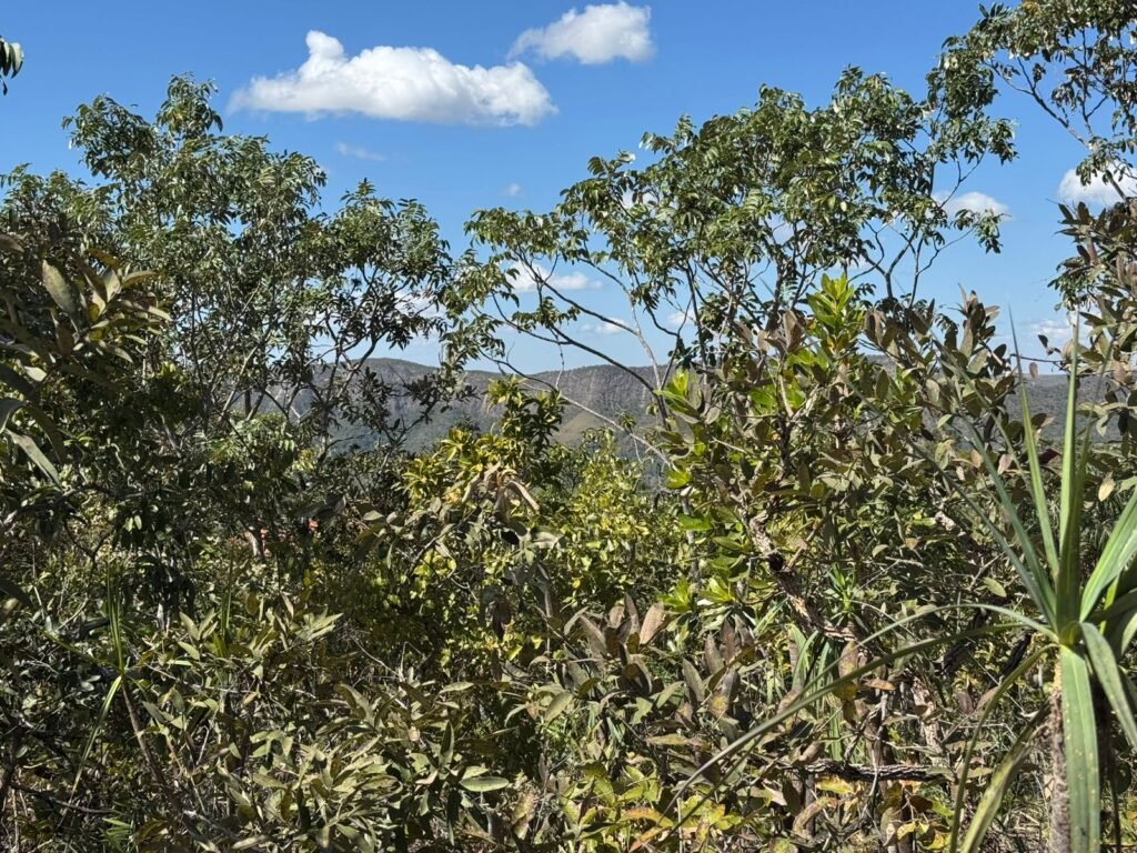 Vende-se Maravilhoso Lote 3.854m2 –  Exclusivo em São Jorge!