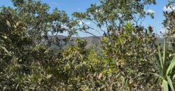 Vende-se Maravilhoso Lote 3.854m2 – Exclusivo em São Jorge! Vende-se Maravilhoso Lote 3.854m2 – Exclusivo em São Jorge!