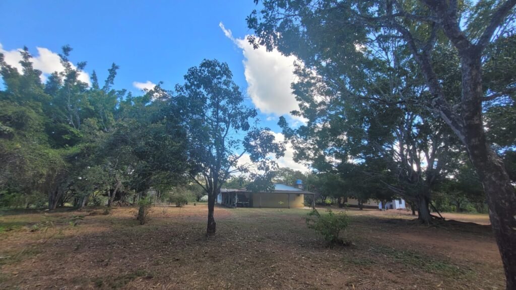 Sítio 15ha – Rio – Açude de Peixe – São João da Aliança – Chapada dos Veadeiros