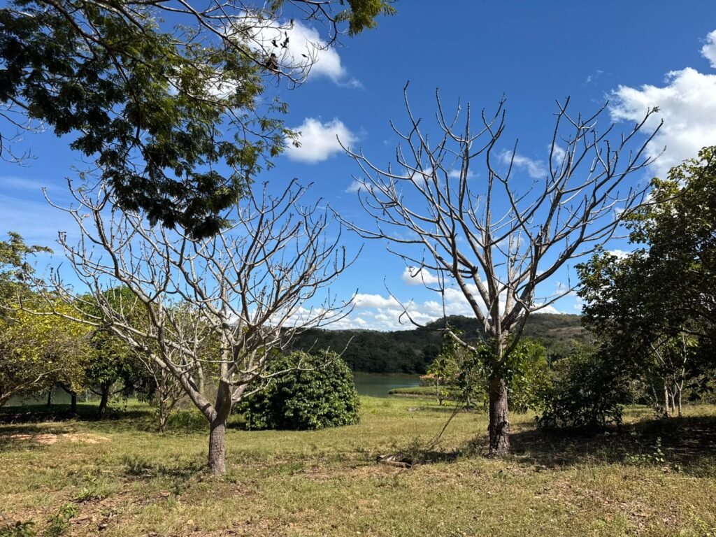 Sítio 15ha – Rio – Açude de Peixe – São João da Aliança – Chapada dos Veadeiros