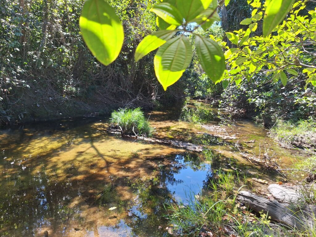 Chácara 4,5ha – 8km do centro de Cavalcante – Chapada dos Veadeiros