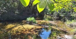 Chácara 4,5ha – 8km do centro de Cavalcante – Chapada dos Veadeiros Chácara 4,5ha – 8km do centro de Cavalcante – Chapada dos Veadeiros