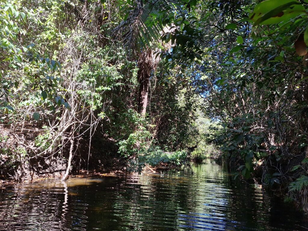 Chácara 4,5ha – 8km do centro de Cavalcante – Chapada dos Veadeiros