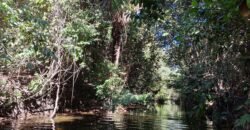 Chácara 4,5ha – 8km do centro de Cavalcante – Chapada dos Veadeiros Chácara 4,5ha – 8km do centro de Cavalcante – Chapada dos Veadeiros