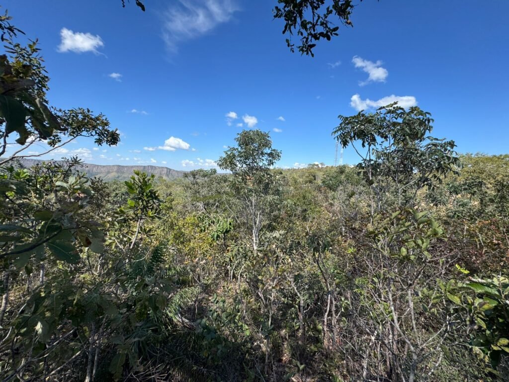 Vende-se Maravilhoso Lote 3.854m2 –  Exclusivo em São Jorge!