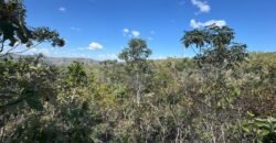 Vende-se Maravilhoso Lote 3.854m2 – Exclusivo em São Jorge! Vende-se Maravilhoso Lote 3.854m2 – Exclusivo em São Jorge!