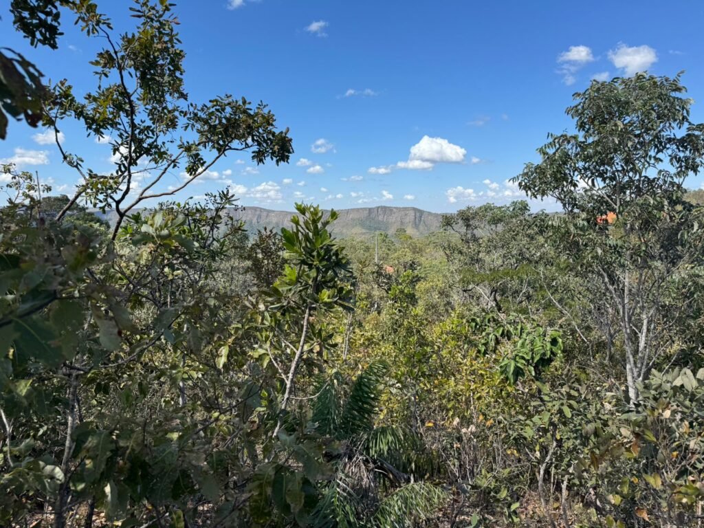 Vende-se Maravilhoso Lote 3.854m2 –  Exclusivo em São Jorge!