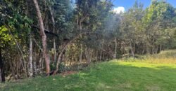 🚜🌳 Maravilhoso Sítio 20ha 🌳🚜 12 km de Alto Paraíso sentido São João da Aliança