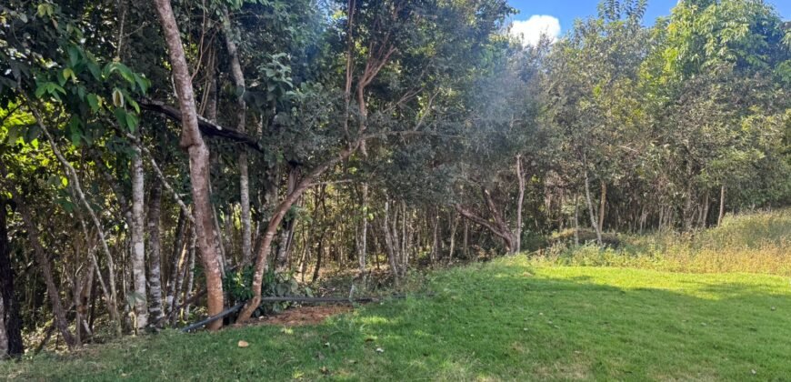 🚜🌳 Maravilhoso Sítio 20ha 🌳🚜 12 km de Alto Paraíso sentido São João da Aliança