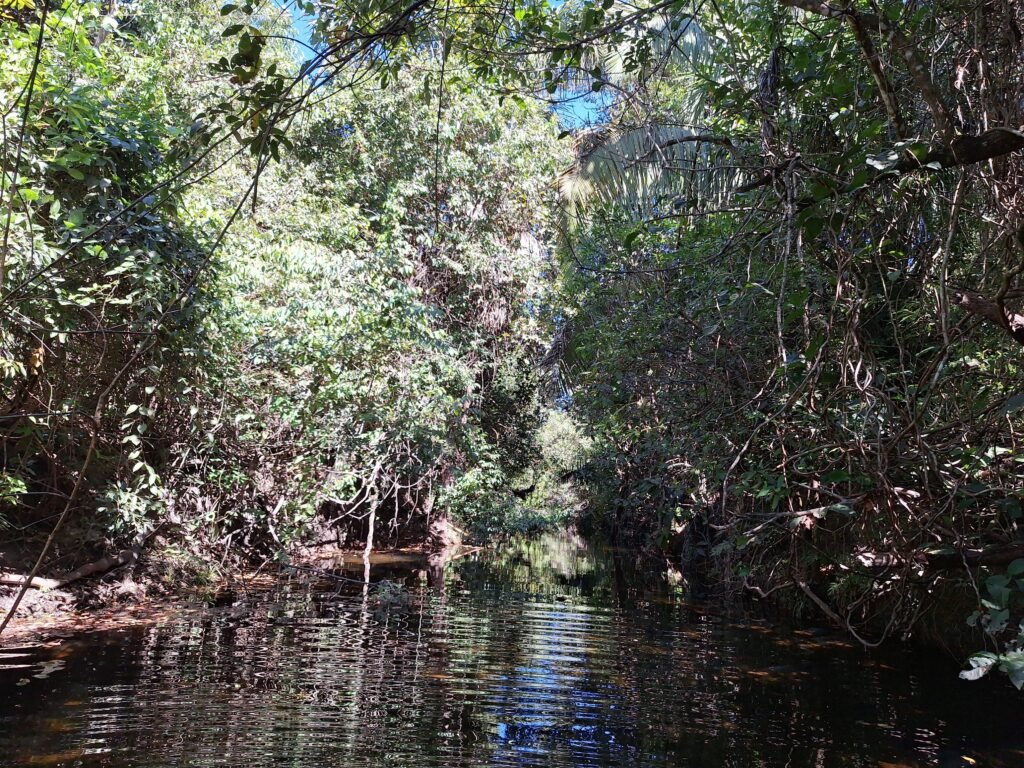 Chácara 4,5ha – 8km do centro de Cavalcante – Chapada dos Veadeiros