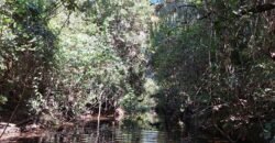 Chácara 4,5ha – 8km do centro de Cavalcante – Chapada dos Veadeiros Chácara 4,5ha – 8km do centro de Cavalcante – Chapada dos Veadeiros