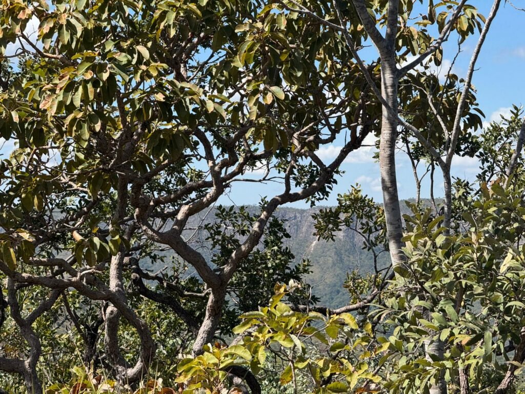 Vende-se Maravilhoso Lote 3.854m2 –  Exclusivo em São Jorge!
