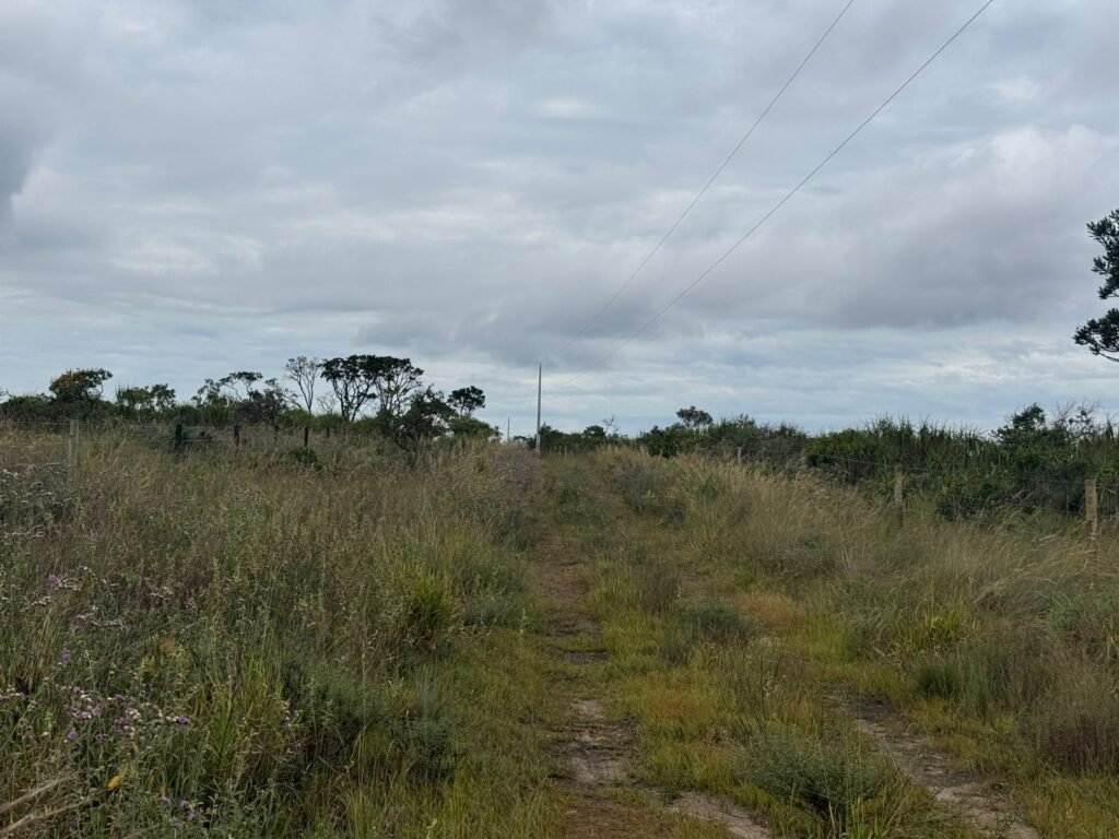 Chácara 40.000m – 5 km de Alto Paraíso – 100% regularizada