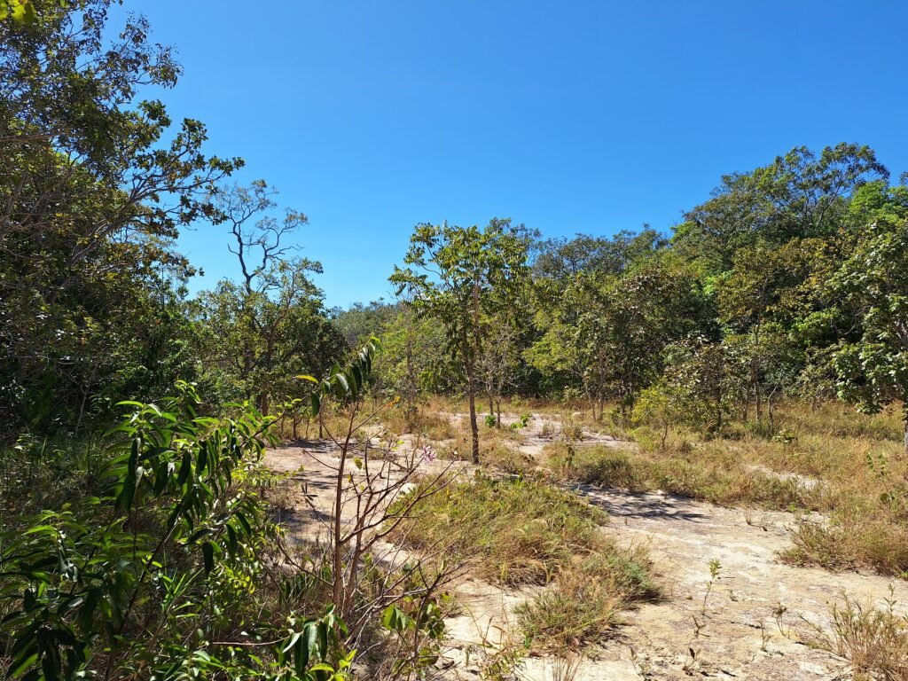 Chácara 4,5ha – 8km do centro de Cavalcante – Chapada dos Veadeiros