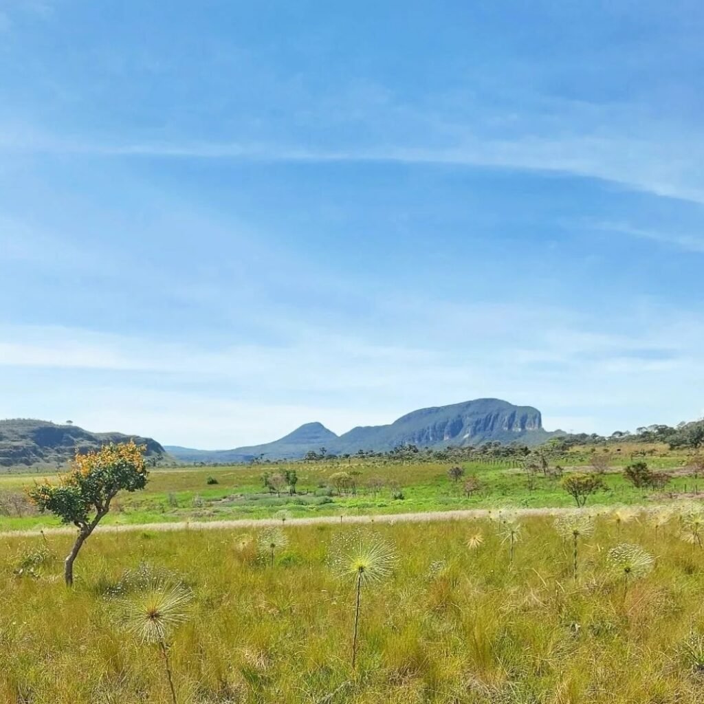 Vende-se Chalé – Próximo ao Morro da Baleia – Alto Paraíso de Goiás