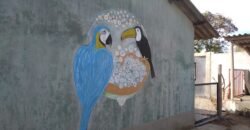 Vende-se Oportunidade de Investimento – 6 Casas – Novo Horizonte – Alto Paraíso Vende-se Oportunidade de Investimento – 6 Casas – Novo Horizonte – Alto Paraíso