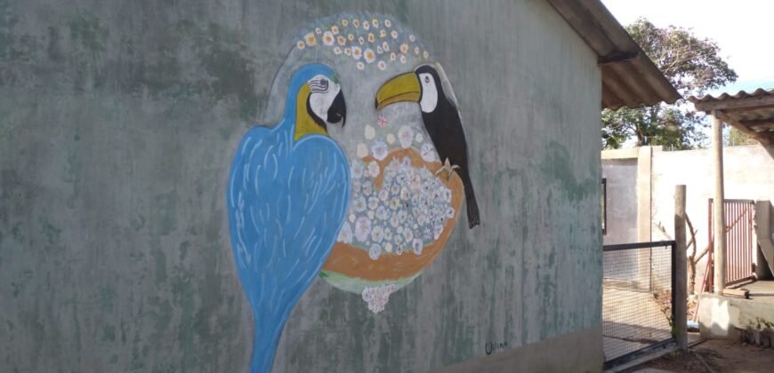 Vende-se Oportunidade de Investimento – 6 Casas – Novo Horizonte – Alto Paraíso