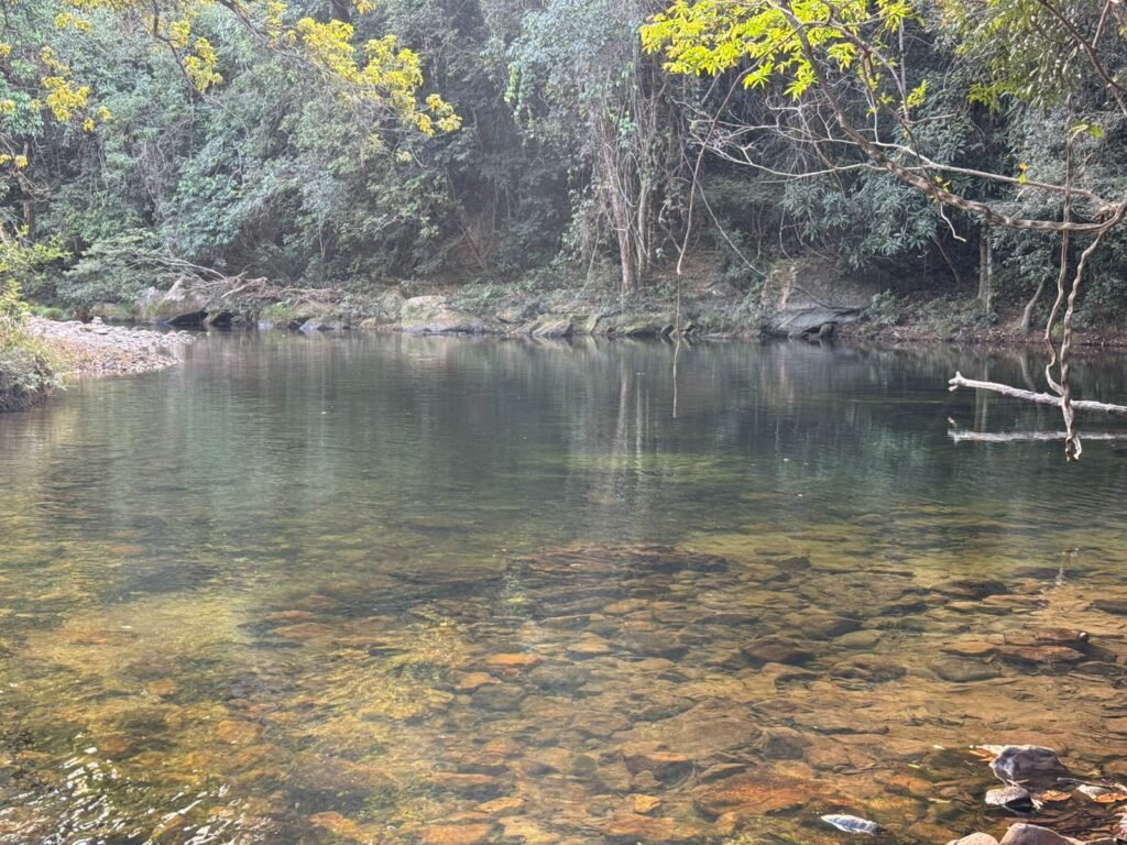 Propriedade – 2 Casas – Rio da Lua – 2 km de São Jorge