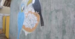 Vende-se Oportunidade de Investimento – 6 Casas – Novo Horizonte – Alto Paraíso Vende-se Oportunidade de Investimento – 6 Casas – Novo Horizonte – Alto Paraíso