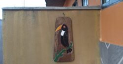 Vende-se Oportunidade de Investimento – 6 Casas – Novo Horizonte – Alto Paraíso Vende-se Oportunidade de Investimento – 6 Casas – Novo Horizonte – Alto Paraíso