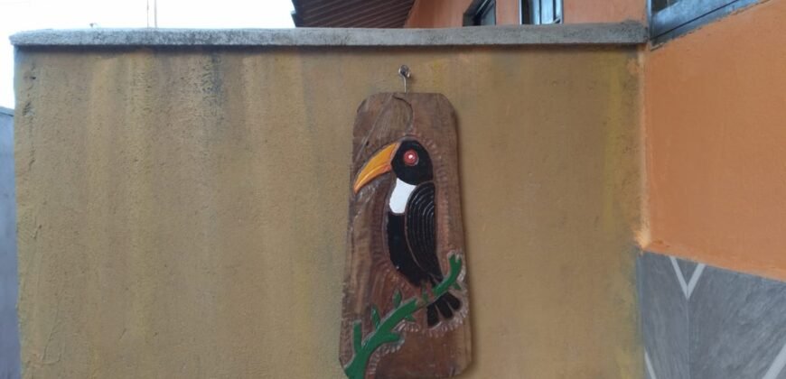 Vende-se Oportunidade de Investimento – 6 Casas – Novo Horizonte – Alto Paraíso