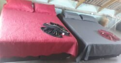 Vende-se Chalé – Próximo ao Morro da Baleia – Alto Paraíso de Goiás Vende-se Chalé – Próximo ao Morro da Baleia – Alto Paraíso de Goiás