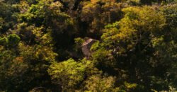 Propriedade – 2 Casas – Rio da Lua – 2 km de São Jorge Propriedade – 2 Casas – Rio da Lua – 2 km de São Jorge