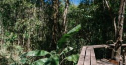 Propriedade – 2 Casas – Rio da Lua – 2 km de São Jorge Propriedade – 2 Casas – Rio da Lua – 2 km de São Jorge