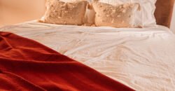 Empreendimento Rural – 42.000m2 – Alto Paraíso de Goiás