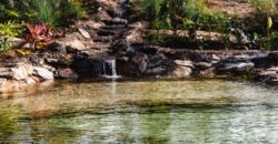 Empreendimento Rural – 42.000m2 – Alto Paraíso de Goiás