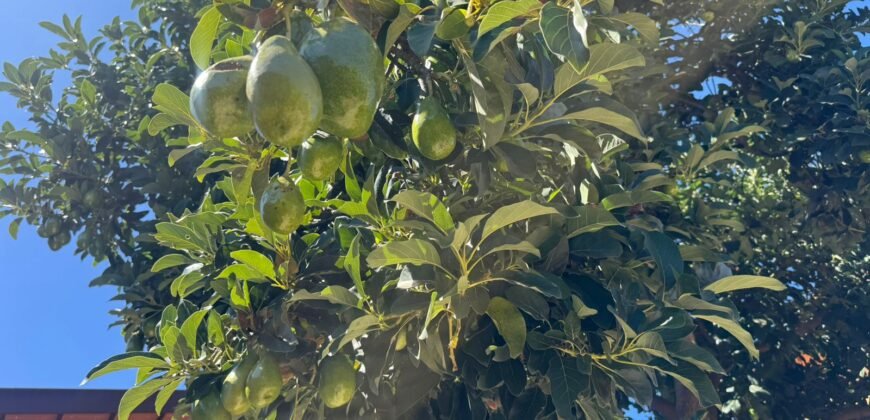 Vende-se Casa Espaçosa e Recém-Reformada- Alto Paraíso de Goiás