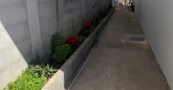 Vende-se Casa Espaçosa e Recém-Reformada- Alto Paraíso de Goiás Vende-se Casa Espaçosa e Recém-Reformada- Alto Paraíso de Goiás