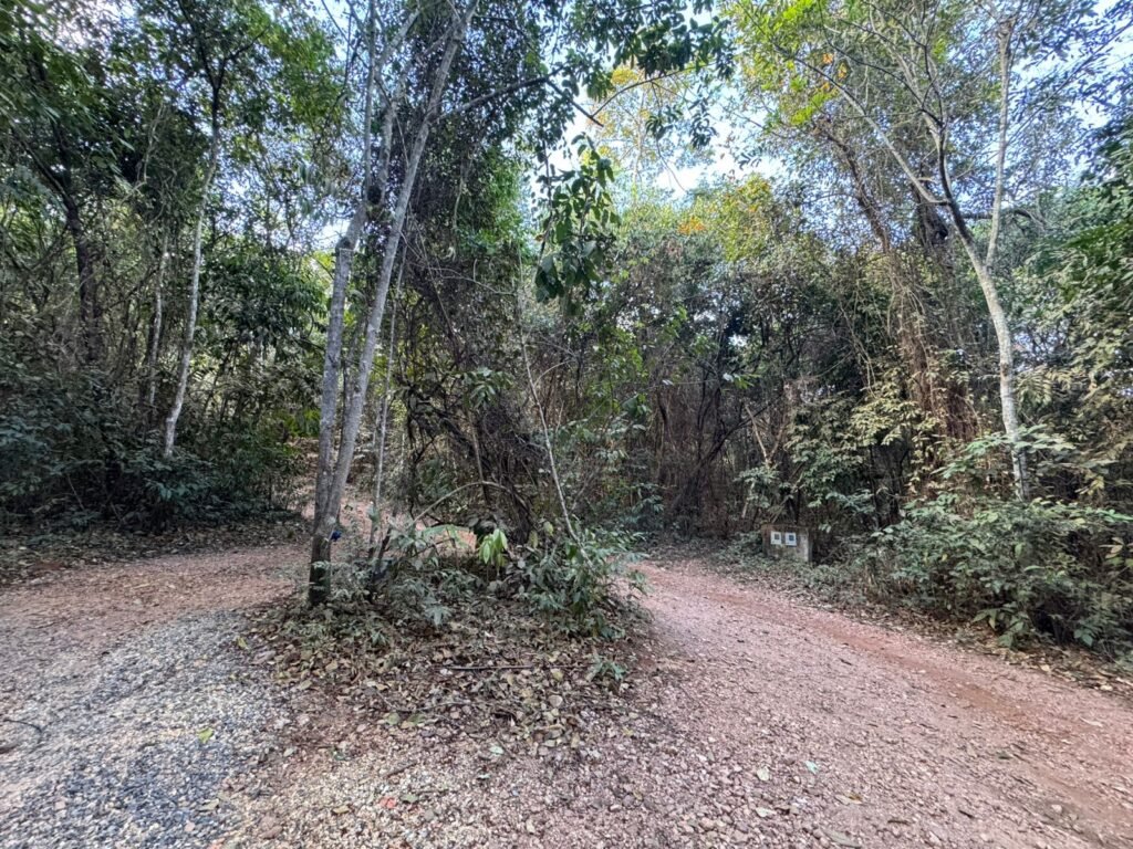 Propriedade – 2 Casas – Rio da Lua – 2 km de São Jorge