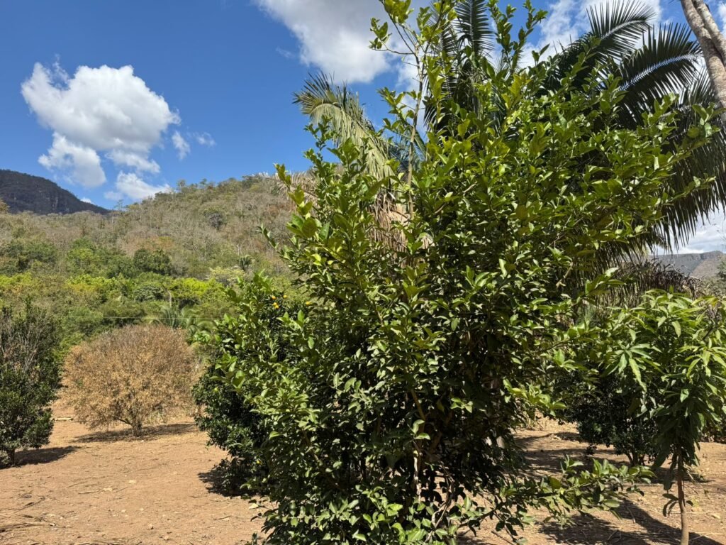 Maravilhosa Chácara – 11 Hectares – Casa de 320m² – Vista Deslumbrante – Nascente  Alto Paraíso – GO 