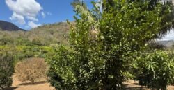 Maravilhosa Chácara – 11 Hectares – Casa de 320m² – Vista Deslumbrante – Nascente  Alto Paraíso – GO 