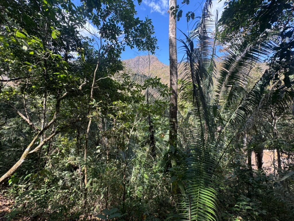 Maravilhosa Chácara – 11 Hectares – Casa de 320m² – Vista Deslumbrante – Nascente  Alto Paraíso – GO 