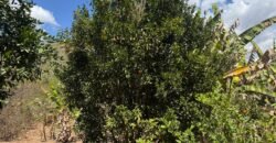 Maravilhosa Chácara – 11 Hectares – Casa de 320m² – Vista Deslumbrante – Nascente  Alto Paraíso – GO 