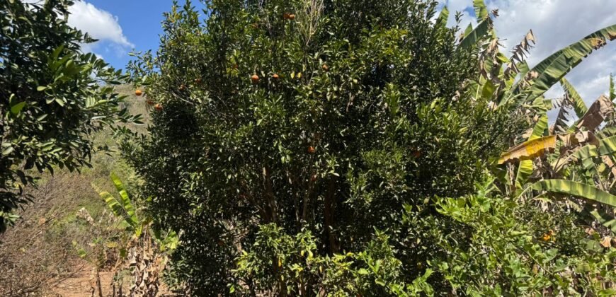 Maravilhosa Chácara – 11 Hectares – Casa de 320m² – Vista Deslumbrante – Nascente  Alto Paraíso – GO 