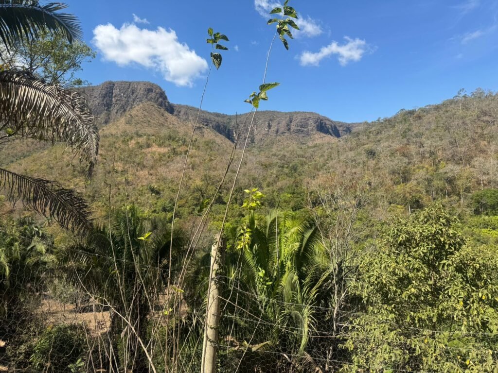 Maravilhosa Chácara – 11 Hectares – Casa de 320m² – Vista Deslumbrante – Nascente  Alto Paraíso – GO 
