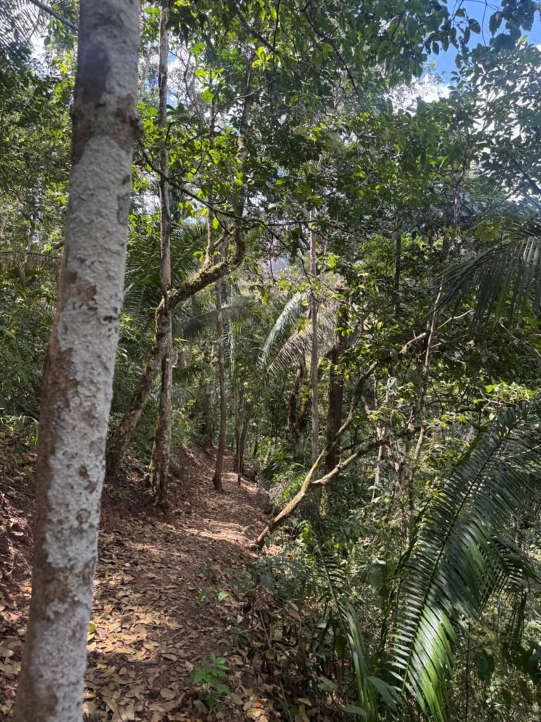 Maravilhosa Chácara – 11 Hectares – Casa de 320m² – Vista Deslumbrante – Nascente  Alto Paraíso – GO 