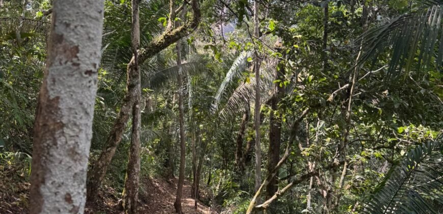 Maravilhosa Chácara – 11 Hectares – Casa de 320m² – Vista Deslumbrante – Nascente  Alto Paraíso – GO 