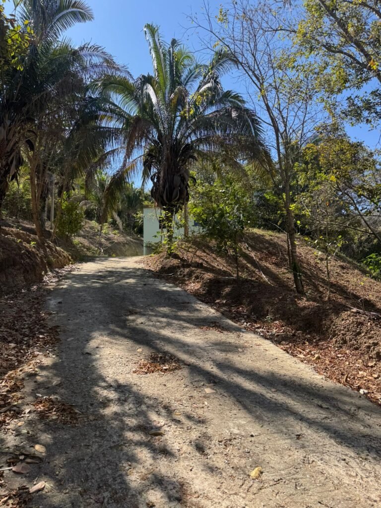 Maravilhosa Chácara – 11 Hectares – Casa de 320m² – Vista Deslumbrante – Nascente  Alto Paraíso – GO 