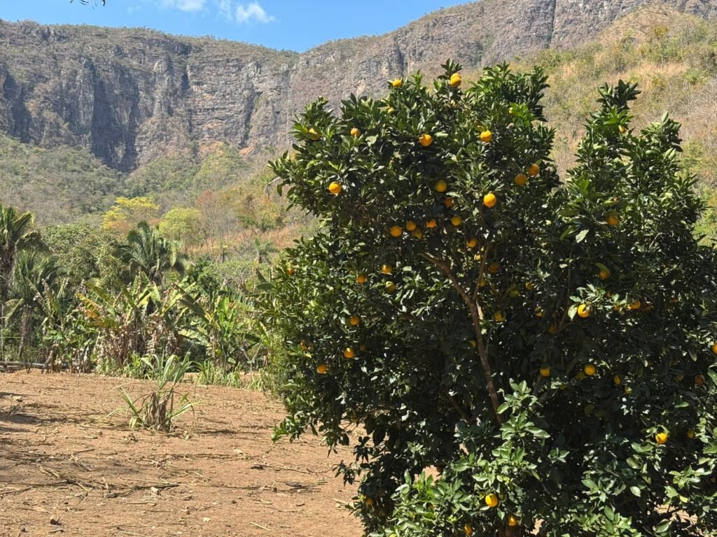 Maravilhosa Chácara – 11 Hectares – Casa de 320m² – Vista Deslumbrante – Nascente  Alto Paraíso – GO 
