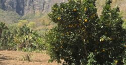 Maravilhosa Chácara – 11 Hectares – Casa de 320m² – Vista Deslumbrante – Nascente  Alto Paraíso – GO 